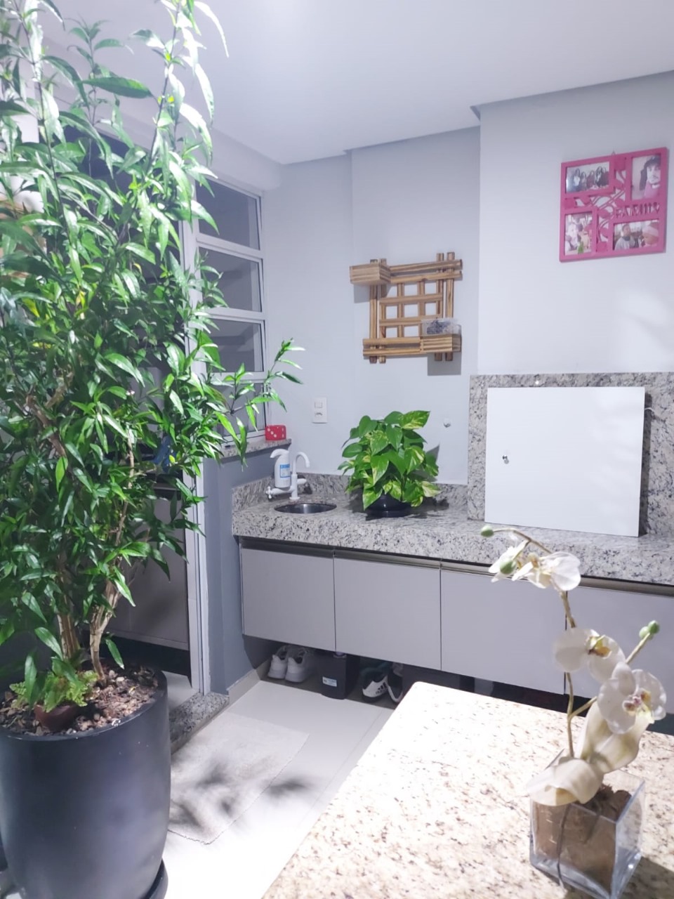 WhatsApp Image 2025-02-11 at 17.06.11